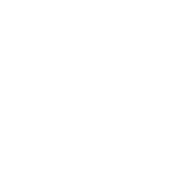 ВШЭ